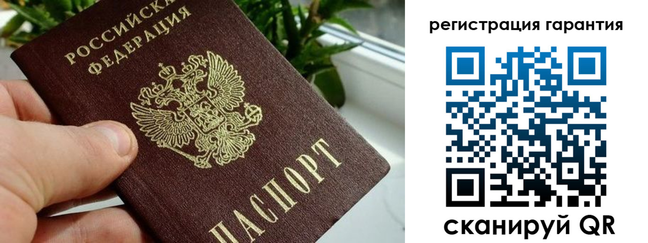 временная регистрация надежно в Белгороде